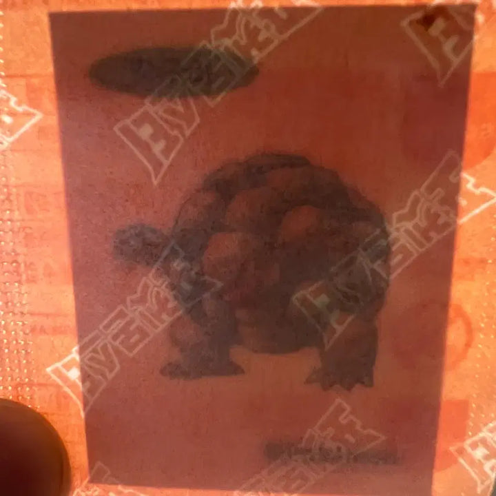 [BUNJANG] Pokemon 30th Anniversary Tyranitar Sticker / 포켓몬스터 30주년 딱구리, 에레브, 캐터피 일괄