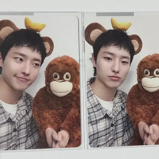 [BUNJANG] WOODZ Archive.1 Mubeat Lucky Draw POB / WOODZ 우즈 Archive.1 뮤빗 럭키드로우 미공포 양도