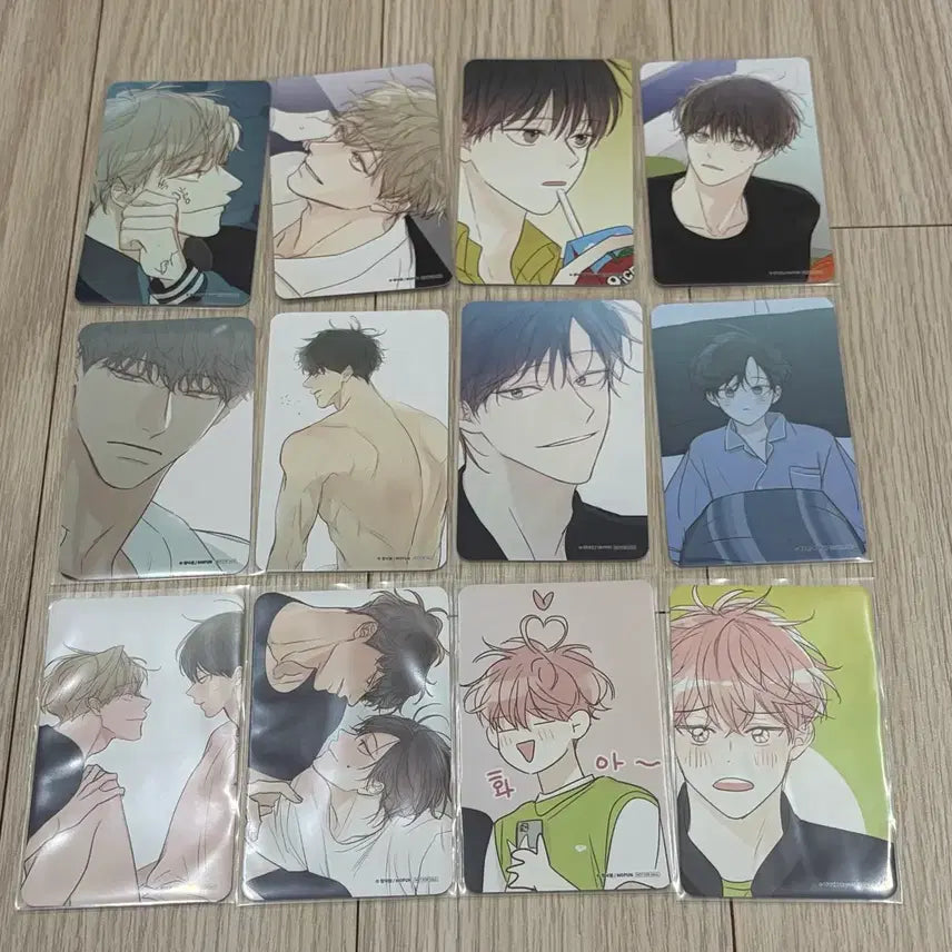 [BUNJANG] Cheong Sagwa Nakwon (Blue Apple Paradise) Collection Bundle Set Photocard / bl 모펀 청사과낙원 청낙원 방문 포토카드 포카 방포 올클