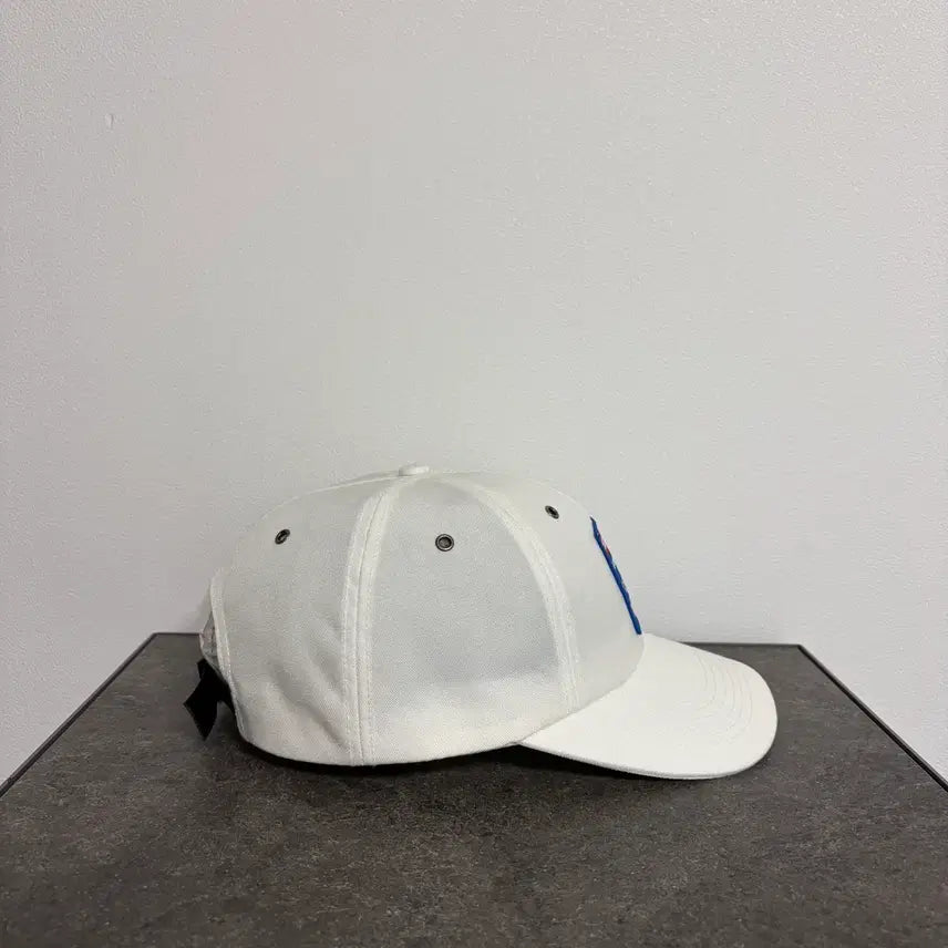 [BUNJANG] Supreme Teflon 6-Panel Cap White / (OS) 슈프림 6패널 볼캡 모자 테프론 화이트