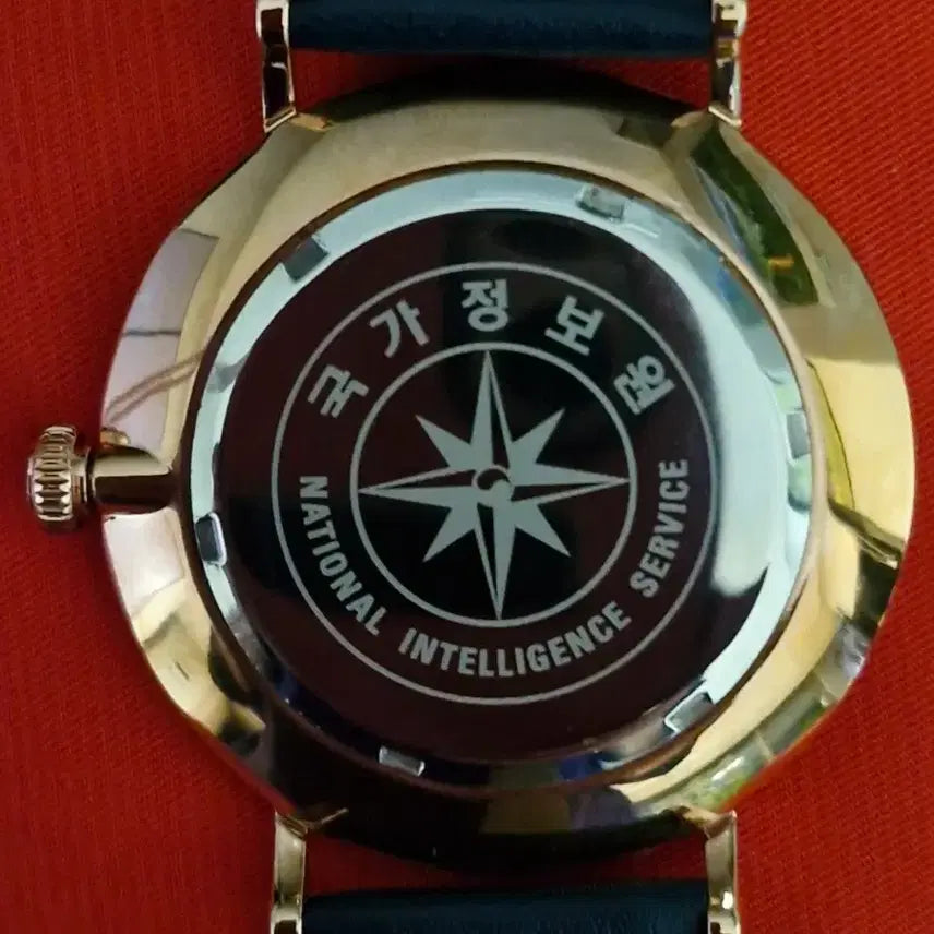 [BUNJANG] NIS Blue Dial Men&