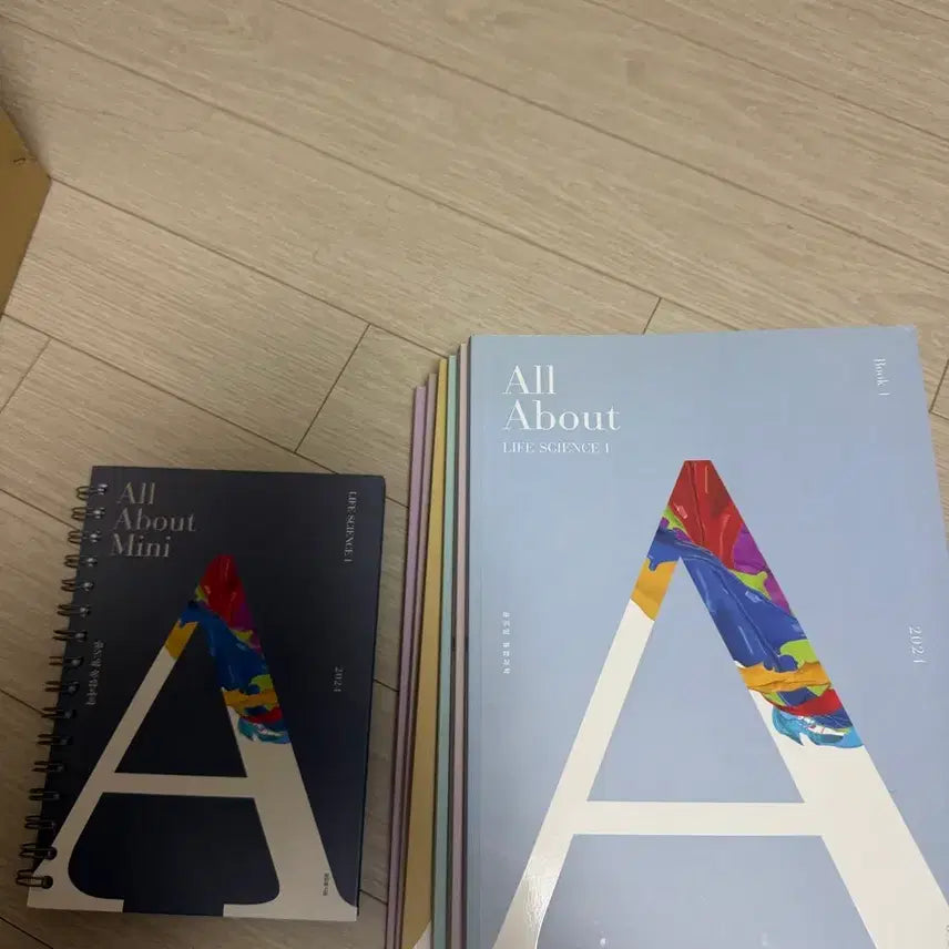 [SOLD OUT] 윤도영 올어바웃 2024