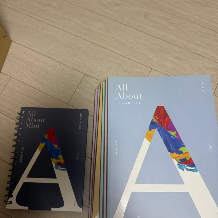 [SOLD OUT] 윤도영 올어바웃 2024