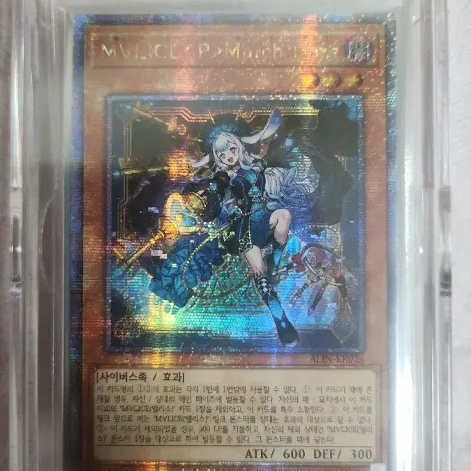 [BUNJANG] Yu-Gi-Oh! Card Collection / 유희왕 카드 모음