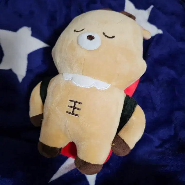[BUNJANG] RIIZE Seunghan Urakbame Plush Doll (Japan Pop-up Store, Sealed) / 라이즈 라이스시 일본 팝업 우락밤 성찬 미개봉