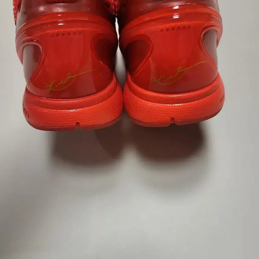[BUNJANG] Nike Kobe 6 Protro Reverse Grinch Basketball Shoes / [285] 코비6 리버스그린치