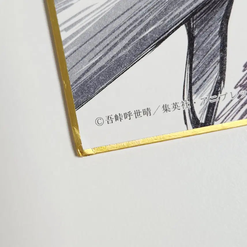 [BUNJANG] Demon Slayer: Mugen Train Arc Kyojuro Rengoku &amp; Tanjiro Kamado Random Shikishi Board Tanjiro / 귀멸의 칼날 무한열차편 렌고쿠&amp;탄지로 랜덤 색지 탄지로