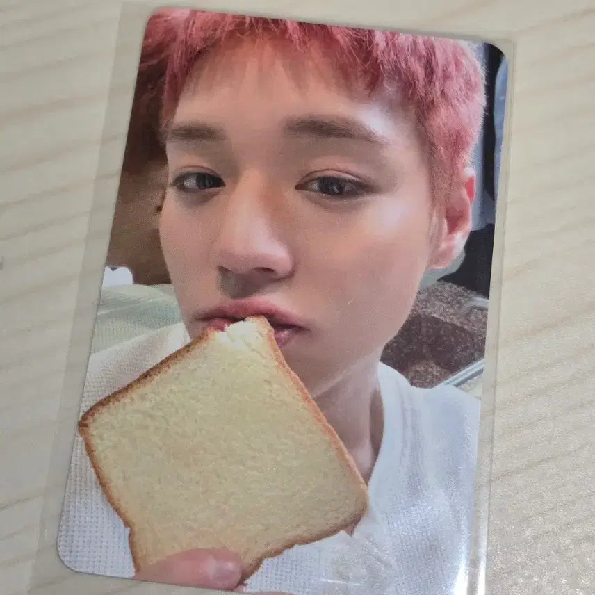 [BUNJANG] Park Ji Hoon Reflect Popup Bread Photocard / 박지훈 리플렉트 팝업 식빵포카 판매