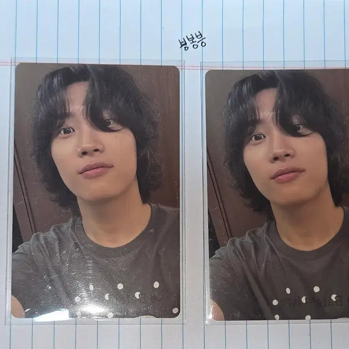 [BUNJANG] DragonPony Band Photocard Bundle Set / 드래곤포니 밴드 포카