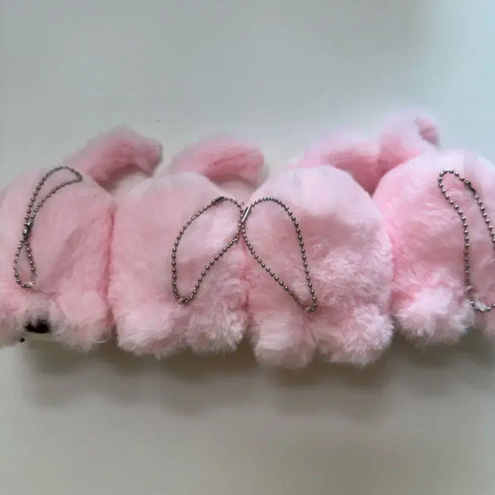[BUNJANG] Attack on Titan Haru Neko Plush Set Eren Armin Levi Hange / (일괄) 진격의 거인 하루냥코 누이 에렌 아르민 리바이 한지 인형