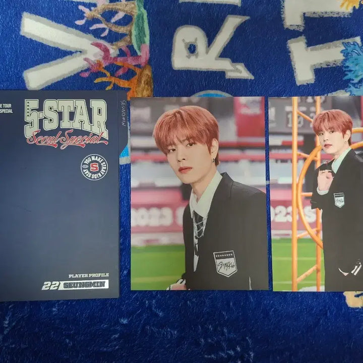 [BUNJANG] Stray Kids Seungmin Profile Set 5-STAR Dome Tour Seoul Concert MD Goods / 스키즈 승민 프로필 세트 파이브 스타 돔투어 서울 콘서트 엠디 굿즈 양도
