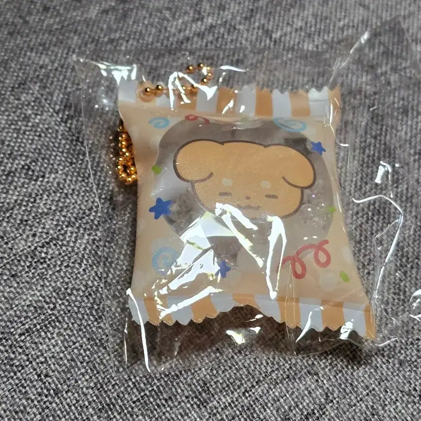 [BUNJANG] Pixelie Snack Bag Keychain Rader / 픽셀리 과자봉지 키링 라더 원가양도