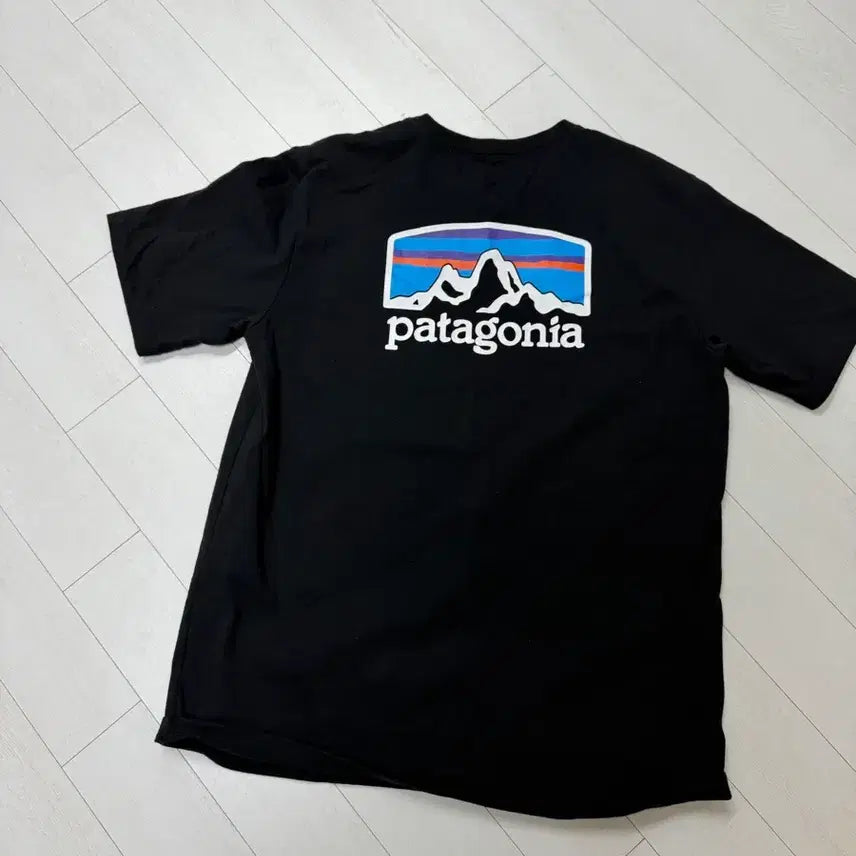 [BUNJANG] Patagonia T-Shirt M Size / 파타고니아 반팔 M 사이즈