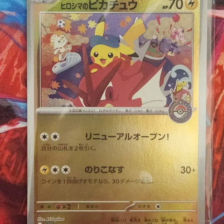 [BUNJANG] Pokemon Card Hiroshima, Fukuoka Grade S Bundle Set / 포켓몬카드 히로시마, 후쿠오카 등급용 S급 일괄 판매