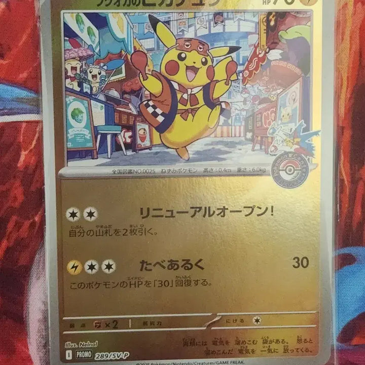 [BUNJANG] Pokemon Card Hiroshima, Fukuoka Grade S Bundle Set / 포켓몬카드 히로시마, 후쿠오카 등급용 S급 일괄 판매