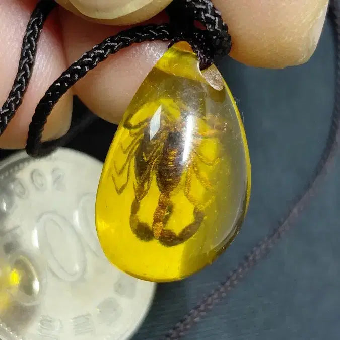 [BUNJANG] Scorpion Amber Pendant Necklace / 전갈호박 목걸이