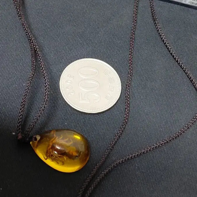 [BUNJANG] Scorpion Amber Pendant Necklace / 전갈호박 목걸이