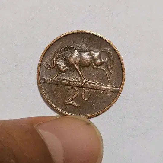 [BUNJANG] South Africa 1971 2 Cent Coin / 남아프리카 1971년 2센트 동전(외국주화)A16