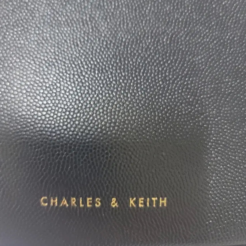 [BUNJANG] Charles &amp; Keith Black Mini Crossbody Bag / 찰스앤키스 블랙 미니 크로스백