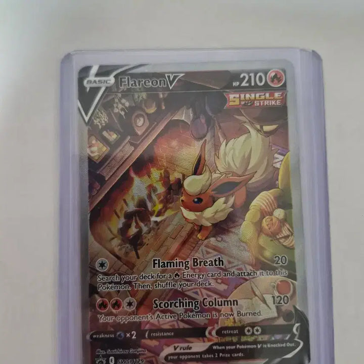 [BUNJANG] Pokemon Card Booster Special 1st Edition North America Set / 포켓몬카드 부스터 특일 북미 세트
