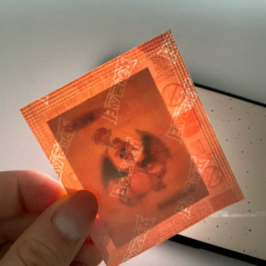 [BUNJANG] Pokemon 30th Anniversary Charizard Sticker / 포켓몬 30주년 리자몽 띠부실