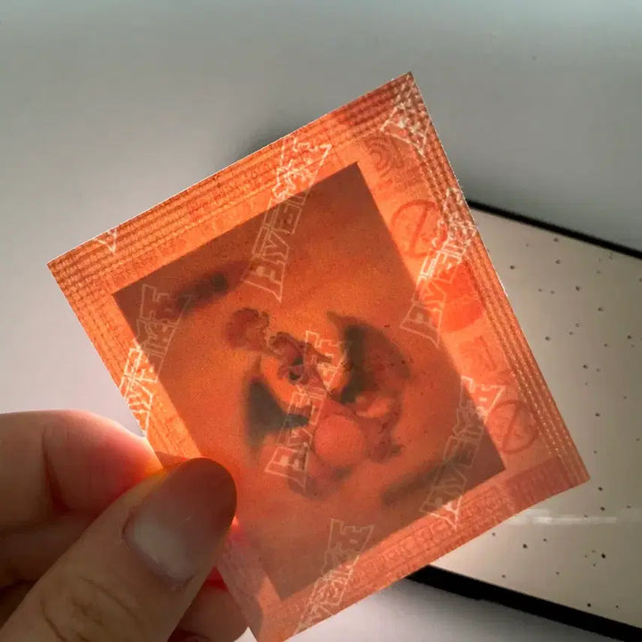 [BUNJANG] Pokemon 30th Anniversary Charizard Sticker / 포켓몬 30주년 리자몽 띠부실