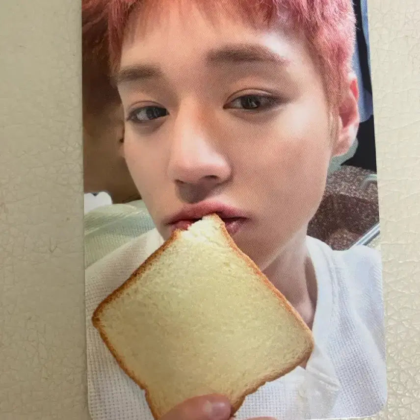 [BUNJANG] Park Ji Hoon Reflect Pop-up Lucky Draw Photocard / 박지훈 리플렉트 팝업 럭드 식빵 포카 양도
