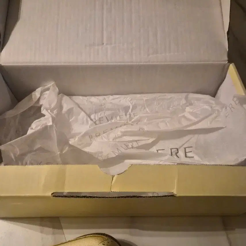 [BUNJANG] FootJoy x Buscemi Limited Edition Golf Shoes / 풋조이 부세미 콜라보 한정판
