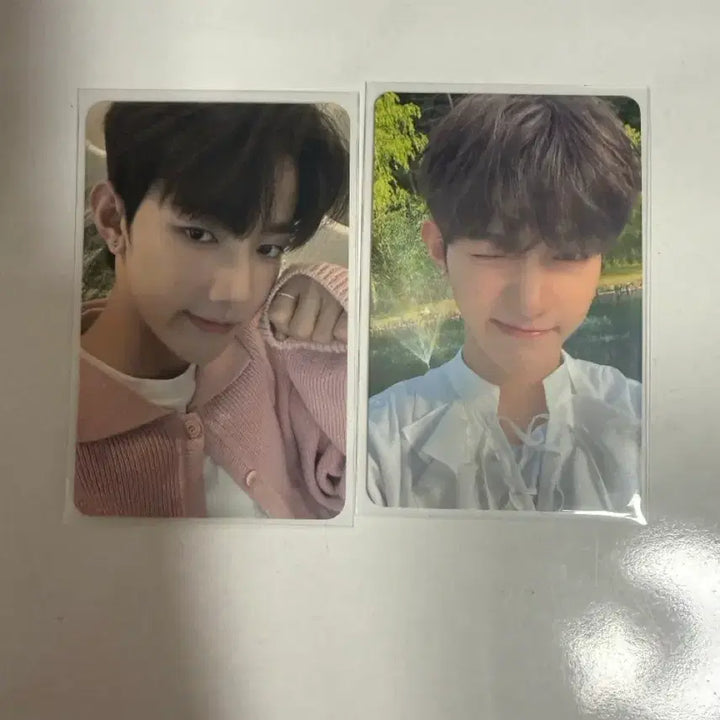 [BUNJANG] ZEROBASEONE Zhang Hao Bundle Set Photocard (35 pcs) / 제로베이스원 장하오 포토카드 35장 일괄 판매