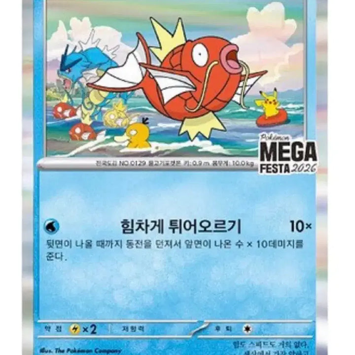 [BUNJANG] Pokemon Magikarp Promo Card Set / 포켓몬 잉어킹 프로모카드 2장