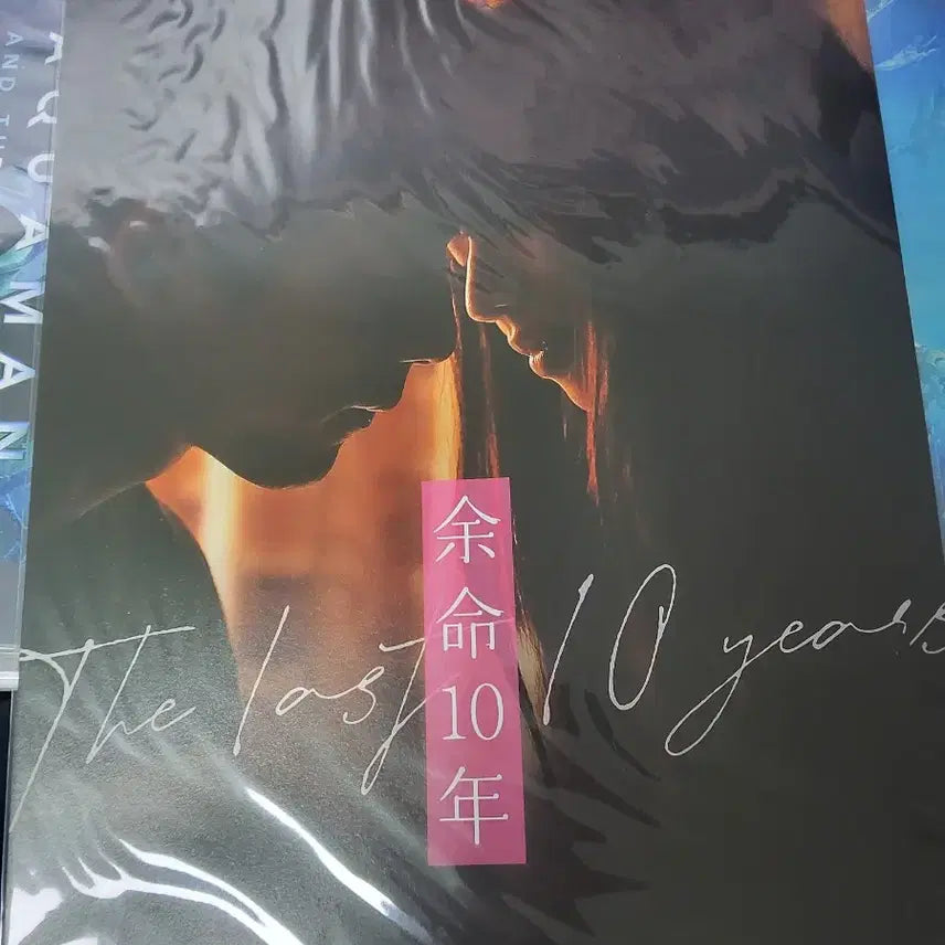 [BUNJANG] Remaing 10 Years Movie Poster Set (2 Types) / 영화 <남은 인생 10년> 2종 포스터