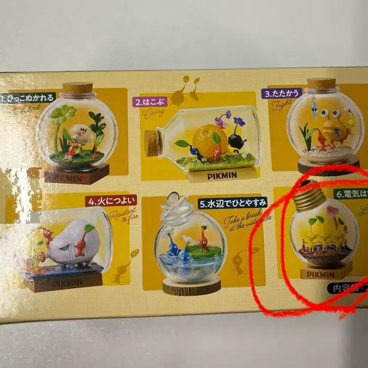 [SOLD OUT] [ 새상품 ] 피크민 테라리움 6번 판매 (가격내림)