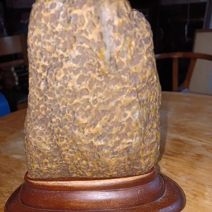 [BUNJANG] Natural Stone Display Piece with Wooden Stand / 수석1점 판매합니다