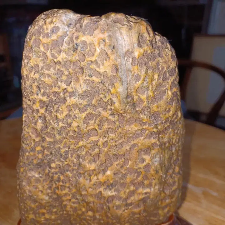 [BUNJANG] Natural Stone Display Piece with Wooden Stand / 수석1점 판매합니다