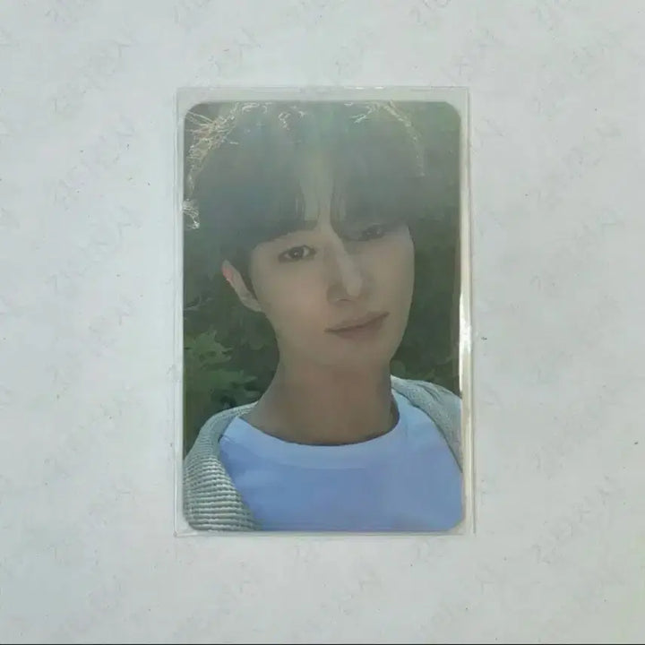 [BUNJANG] Byun Woo Seok "Blue Shark" Photocard / 변우석 청상아리 포카