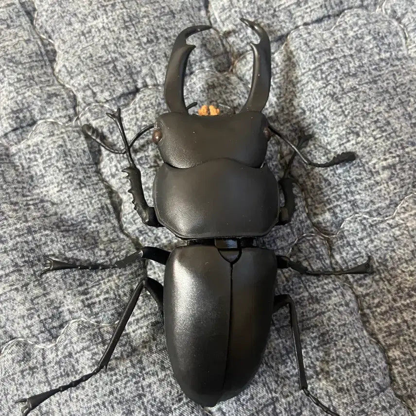 [BUNJANG] Creature Compendium Stag Beetle Vol. 4: Saw Stag Beetle (Used) / 생물대도감 사슴벌레 4 애사슴벌레 중고품 베이스 날개x