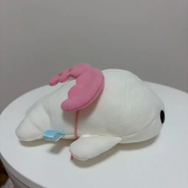 [BUNJANG] Rare Angel Mamegoma Plush / 레어 천사 마메고마