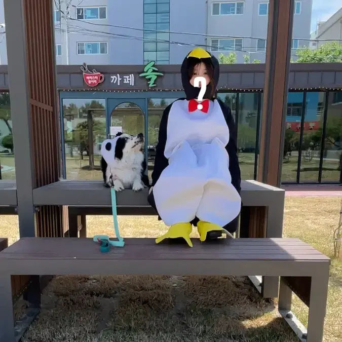 [BUNJANG] Penguin Cosplay Costume Rental for Graduation Photos / 펭귄 코스프레 졸업사진 용 대여