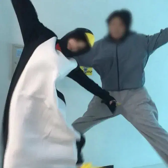 [BUNJANG] Penguin Cosplay Costume Rental for Graduation Photos / 펭귄 코스프레 졸업사진 용 대여