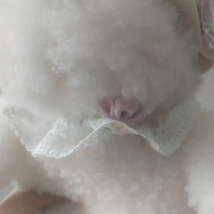 [BUNJANG] Vintage "Cozy Smell" Puppy Plush Toy / 빈티지 꼬순내 강아지인형