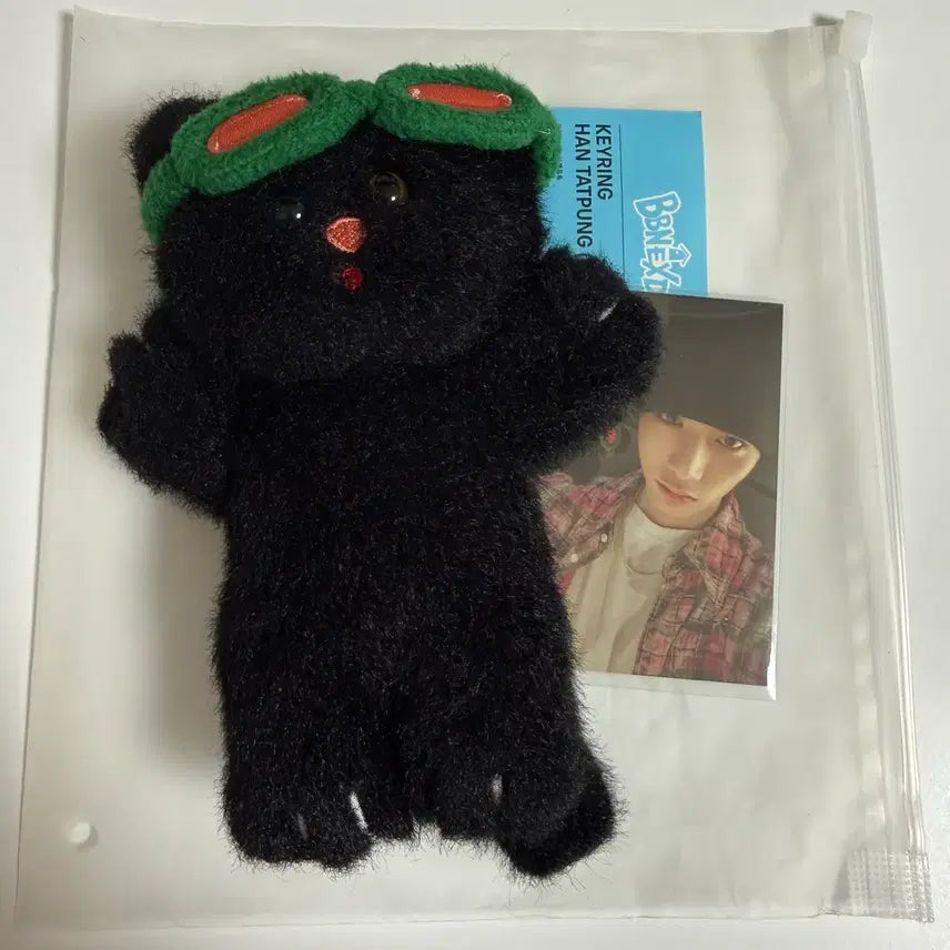 [BUNJANG] Photocard Pouch Set / 한탯풍 양도