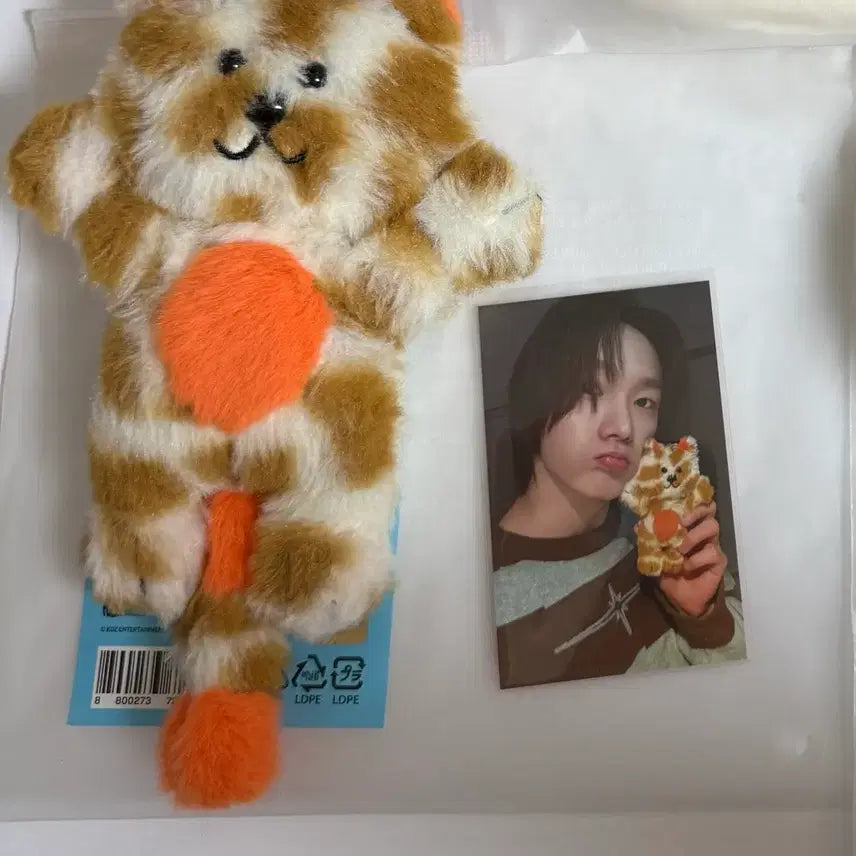 [BUNJANG] Catppit Photocard Pouch Set / 캣삐 양도 합니다