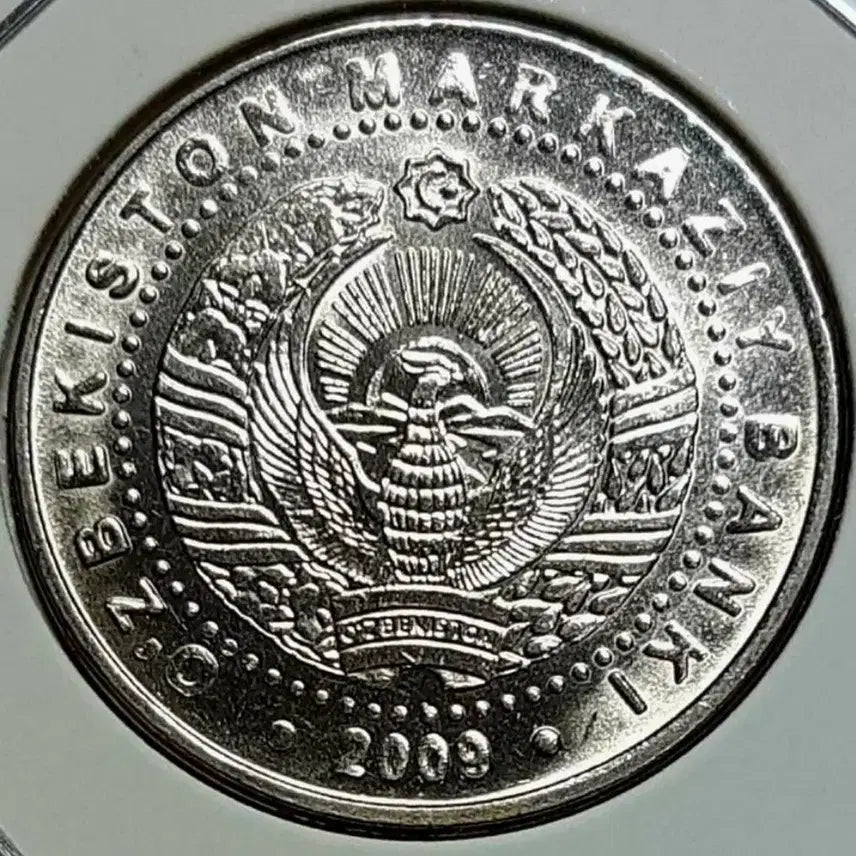 [BUNJANG] Uzbekistan 100 Som Coin (2008) Unused / 우즈베키스탄 미사용 2008년 100숨.외국주화 주화 화폐 동전