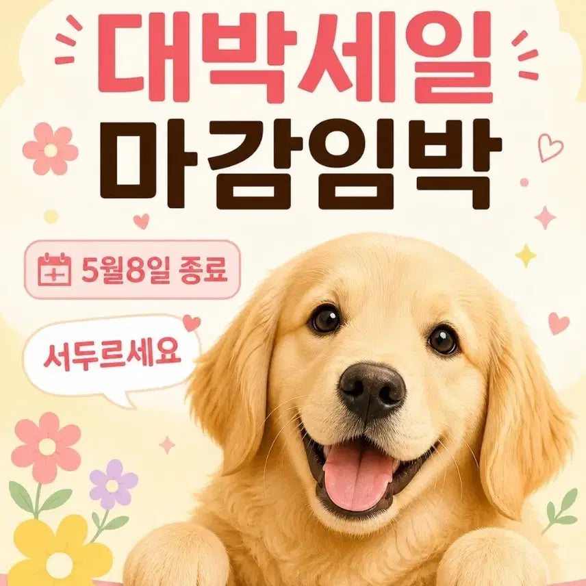 [BUNJANG] Chubab&