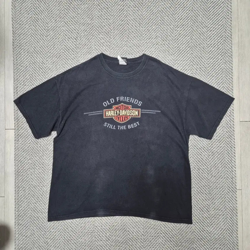 [BUNJANG] 00s Vintage Harley-Davidson T-Shirt (2XL) / 00s 빈티지 할리 데이비슨 티셔츠 made in USA (2XL)