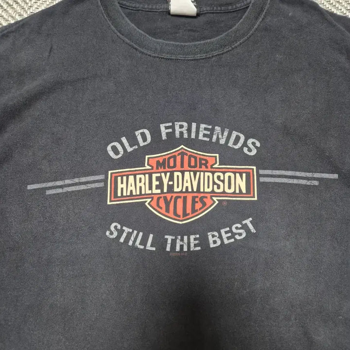 [BUNJANG] 00s Vintage Harley-Davidson T-Shirt (2XL) / 00s 빈티지 할리 데이비슨 티셔츠 made in USA (2XL)