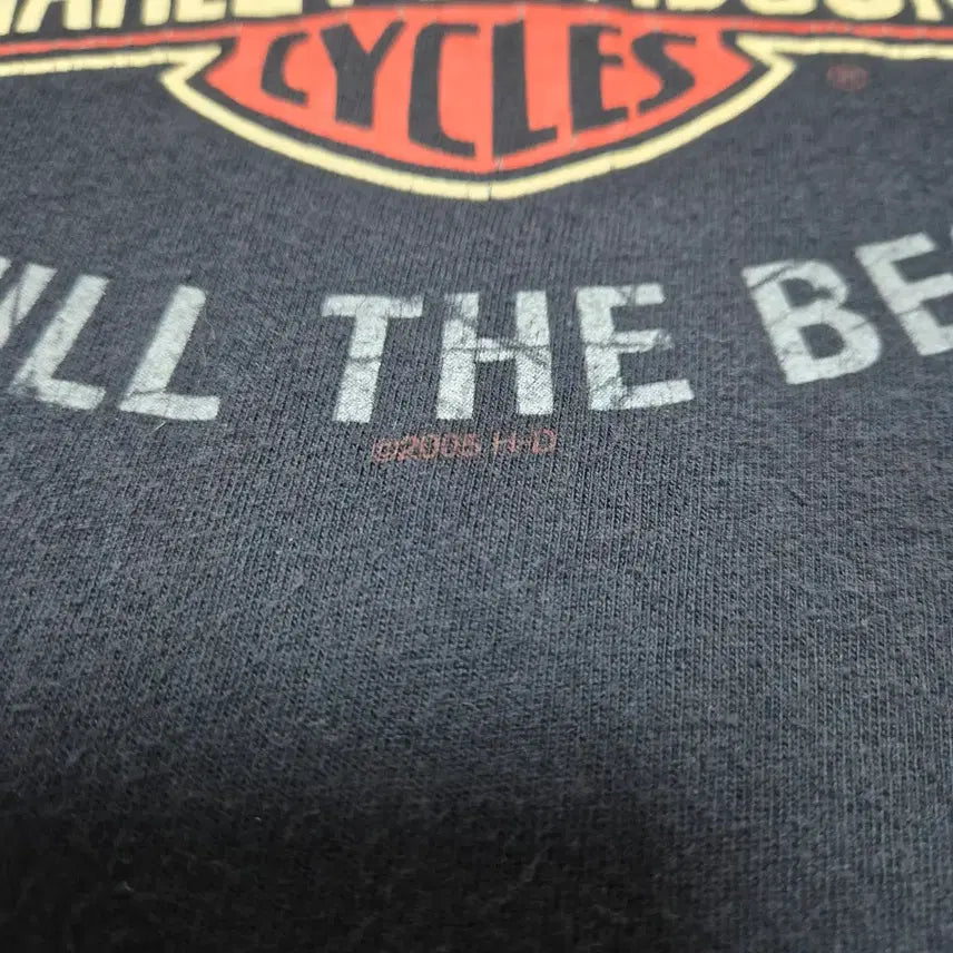 [BUNJANG] 00s Vintage Harley-Davidson T-Shirt (2XL) / 00s 빈티지 할리 데이비슨 티셔츠 made in USA (2XL)