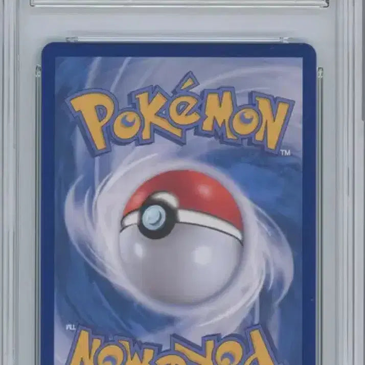 [BUNJANG] Pokemon Card Mega Dragonite SAR BRG 9 / 포켓몬카드 메가망나뇽 SAR BRG 9