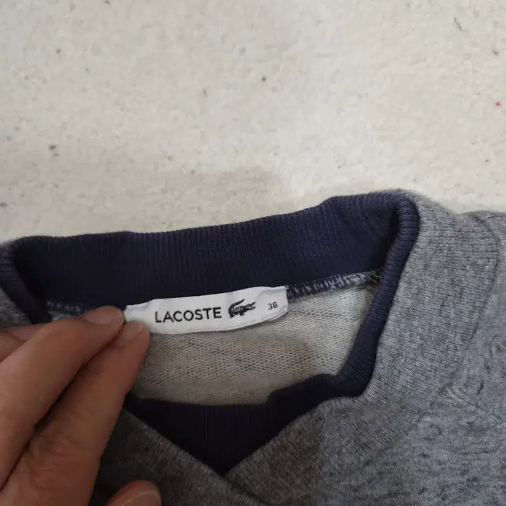 [BUNJANG] Lacoste Sweatshirt / 라코스테  맨투맨36
