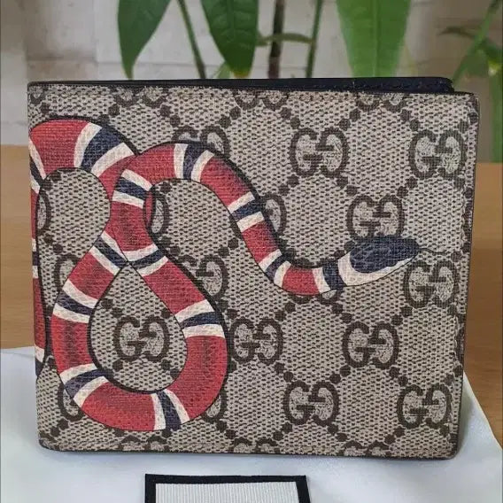 [BUNJANG] Gucci Snake Coin Wallet / 구찌 스네이크 코인 지갑/반지갑 새상품급 정품(감정O)